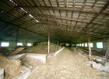 Продам ферму у селі Користь по трасі Київ Чоп